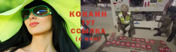 ПСИЛОЦИБИНОВЫЕ ГРИБЫ Алзамай