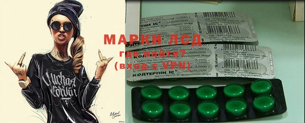 apvp Алексин