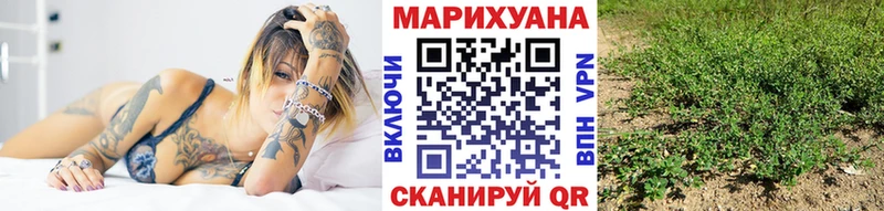 Шишки марихуана планчик купить наркотики цена Спас-Деменск